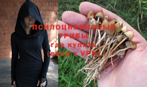 ALPHA PVP Армянск