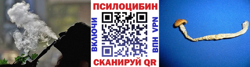 blacksprut сайт  магазин  наркотиков  Павлово  Галлюциногенные грибы GOLDEN TEACHER 